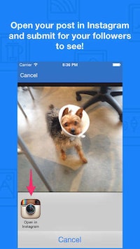 Scheduled Photo Apps Image 5