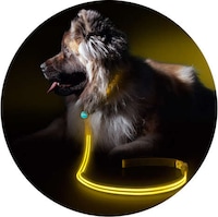 LED Light Leashes Image 7