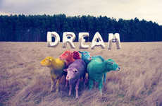 Candy-Colored Sheep Photography