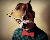 Felt Avian Disguises Image 2