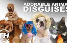 Adorable Animal Disguises