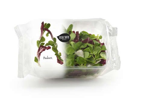 Typographic Salad Packaging : 