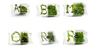 Typographic Salad Packaging Image 4