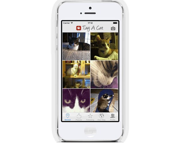 12 Examples of Social Media for Pets