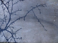Rural Childhood Photography Image 7