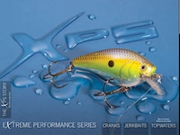 Digitally Engaging Catalogs Image 5