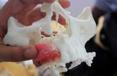 3D-Printed Jaws