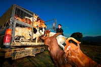 Bloody Hunting Photos Image 8