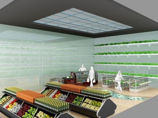 11 Health Food Store Innovations