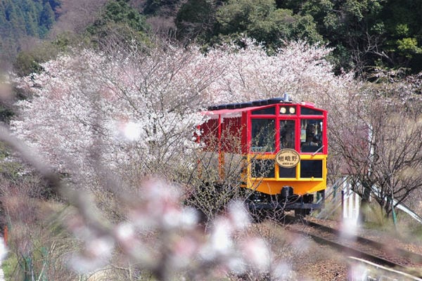 47 Reasons to Visit Japan
