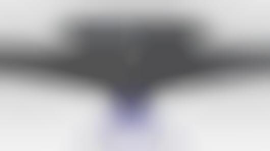 Bionic Birds