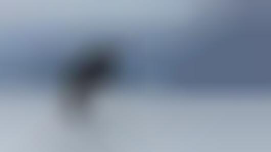 Killer Whale-Monitoring Drones
