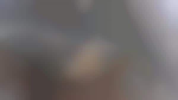 Eagle POV Videos