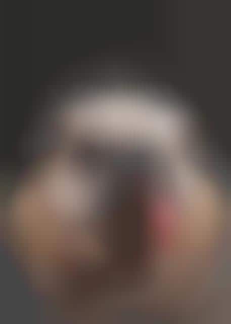 Elderly Canine Portraits