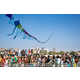 Chromatic Kite Fest Photos Image 2