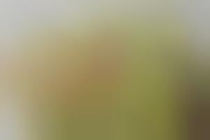 Anime-Inspired S'mores : s'more cookies