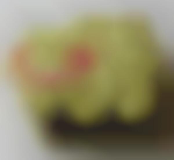 Anime-Inspired S'mores : s'more cookies