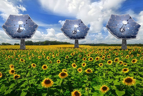 Top 75 Eco Ideas in November