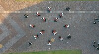 kaleidoscopic Viral Videos Image 2