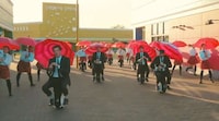 kaleidoscopic Viral Videos Image 4