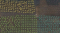 kaleidoscopic Viral Videos Image 6