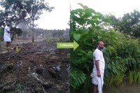 Urban Thicket-Growing Services Image 4