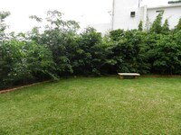 Urban Thicket-Growing Services Image 7