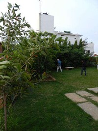 Urban Thicket-Growing Services Image 8