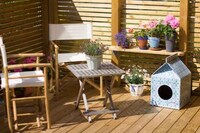 Eco Feline Homes Image 4