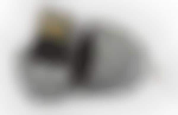 Dragon Egg Data Devices