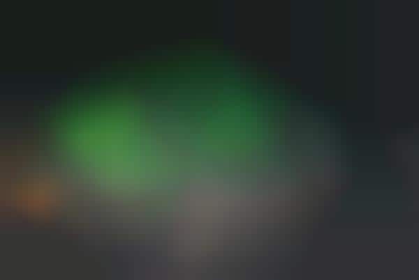 Simulated Northern Light Shows