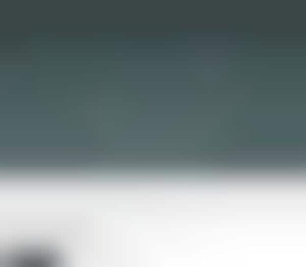 Business Feedback Services