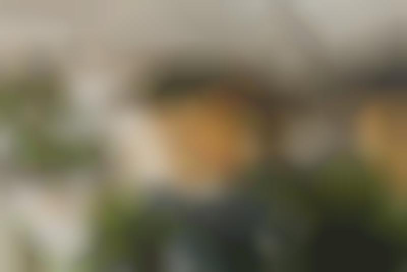 40 Ingenious Ways to Garden Indoors