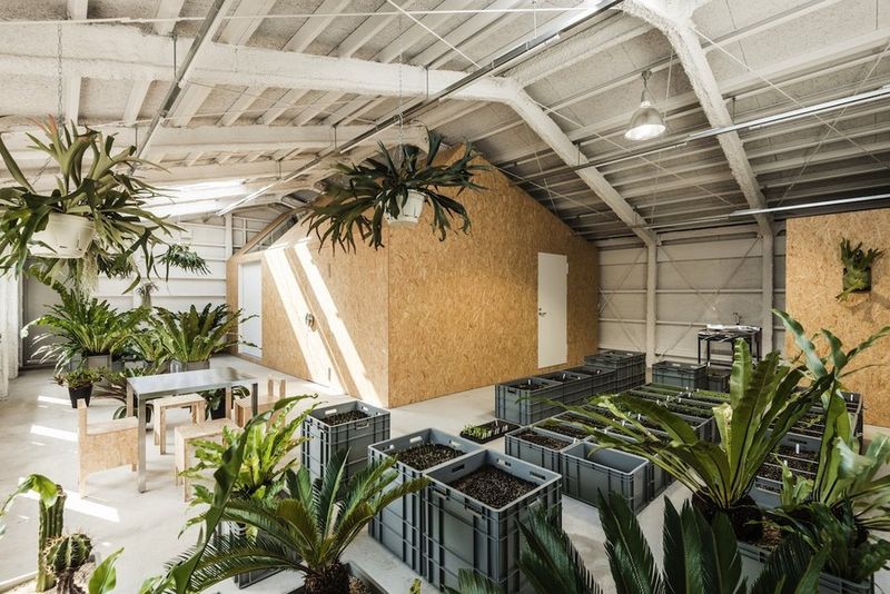Industrial Indoor Gardens