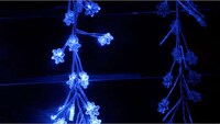 Colorful Customized Holiday Decor Image 5