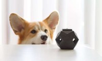 Rewarding Dog Toys Image 2