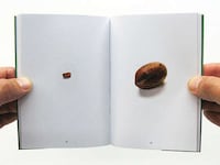 Adventurous Children Books Image 4