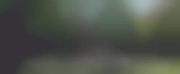 Penguin Parody Videos