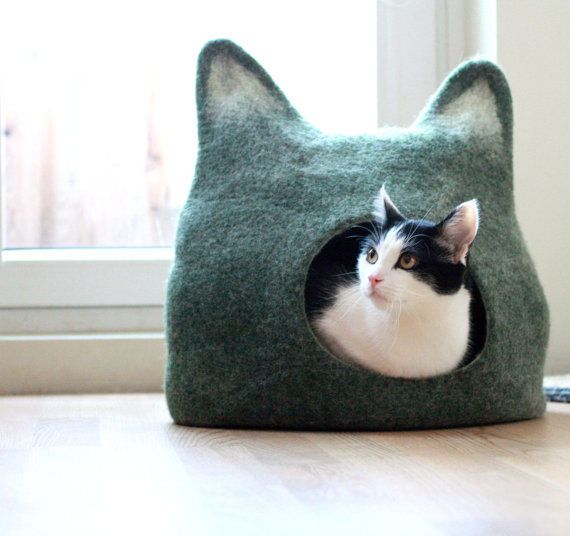 100 Gifts for Cat Lovers