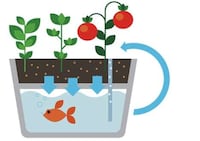 Self-Watering Herb Kits Image 3