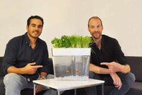 Self-Watering Herb Kits Image 4