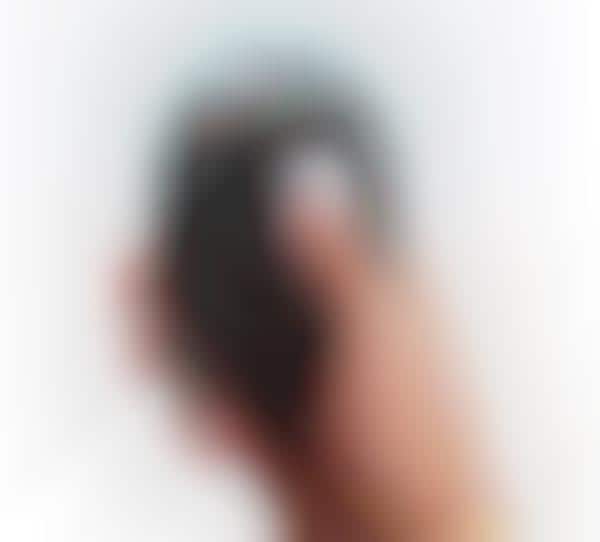 Panoramic Action Cameras