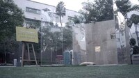 Stress-Reducing Cat Videos Image 2