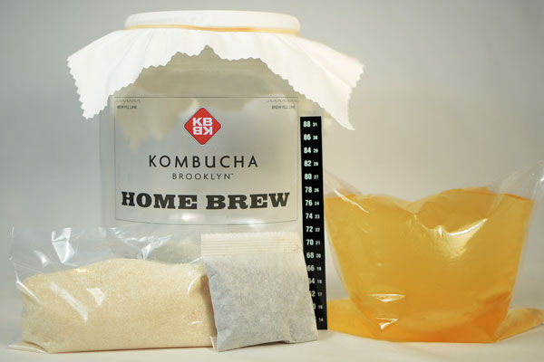 Kombucha Tea Brewing Sets