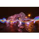 Interactive Bubbly Installations Image 2
