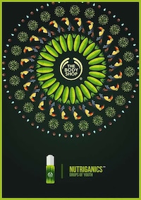 Graphically Tropical Campaigns Image 2