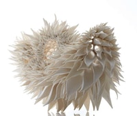 Fractal Pattern Ceramics Image 2