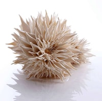 Fractal Pattern Ceramics Image 3