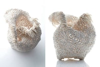 Fractal Pattern Ceramics Image 4