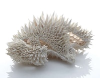 Fractal Pattern Ceramics Image 7